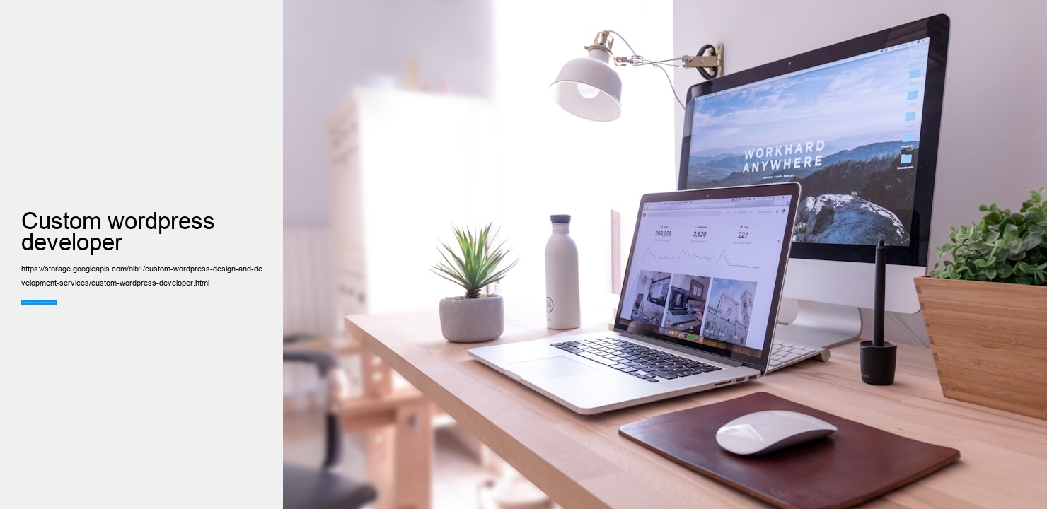 custom wordpress design and development services