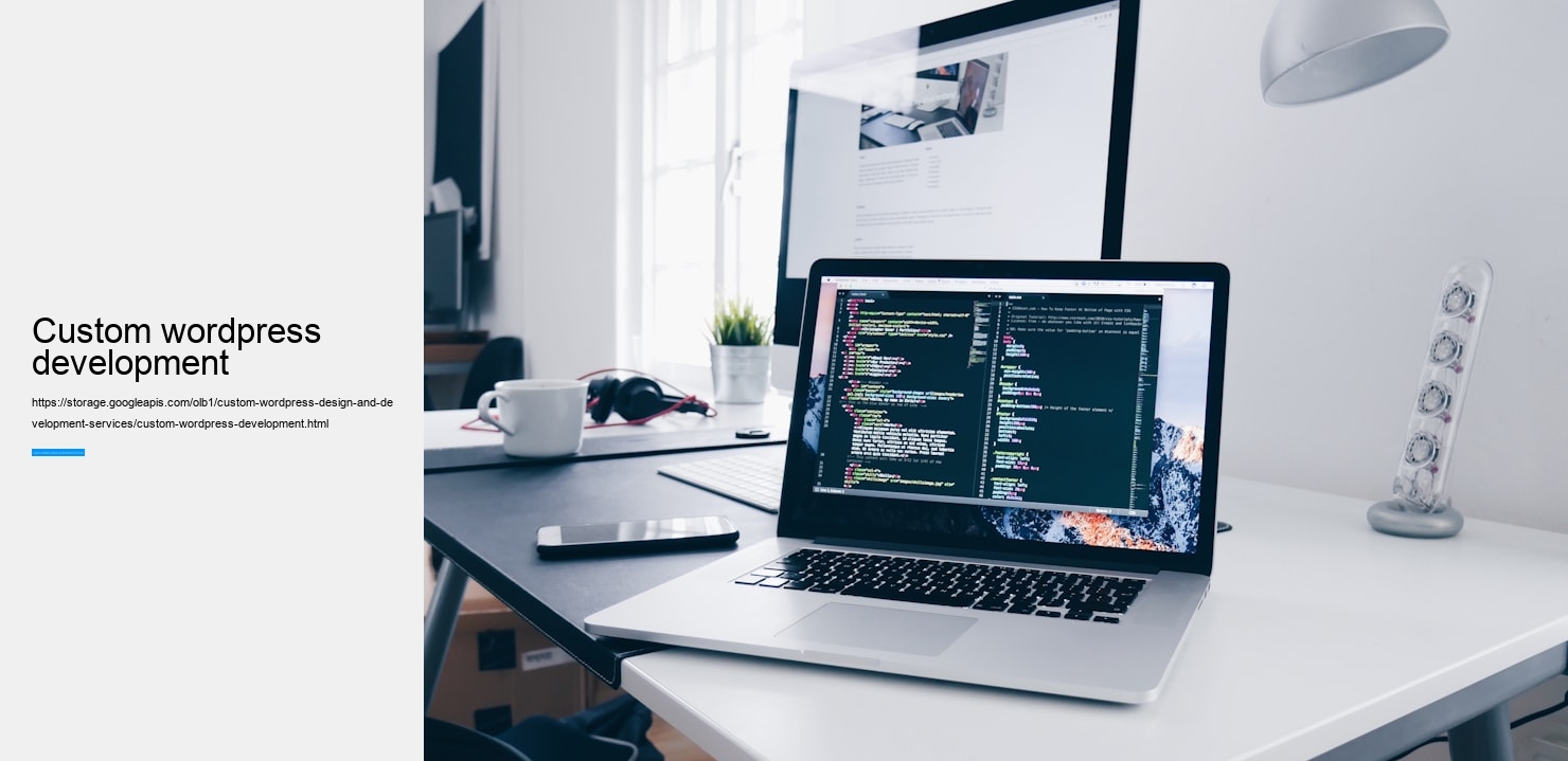custom wordpress development