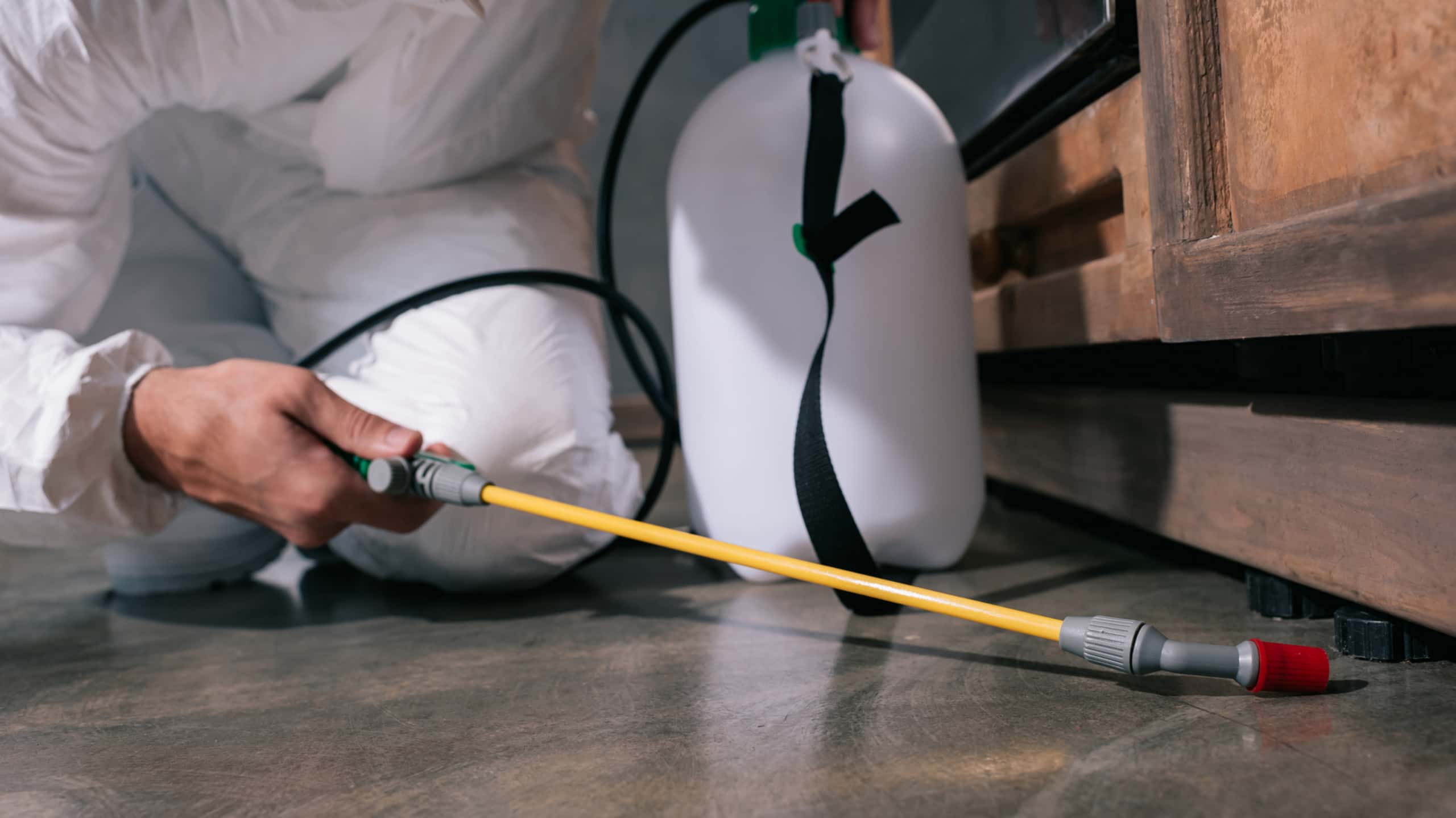 Exterminators Process pest control melville