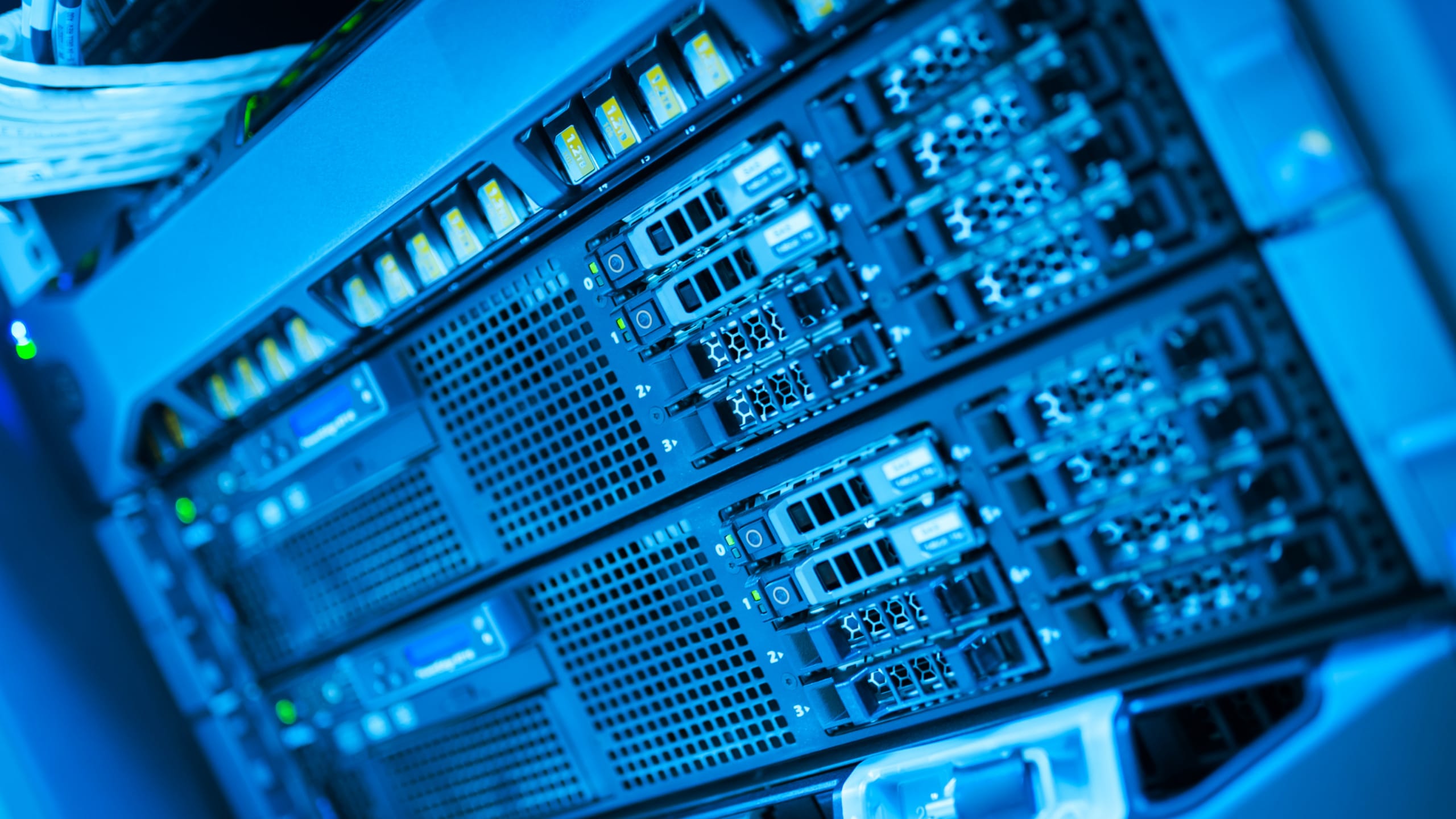 What Is Managed Network Services and How Can It Help Your Business