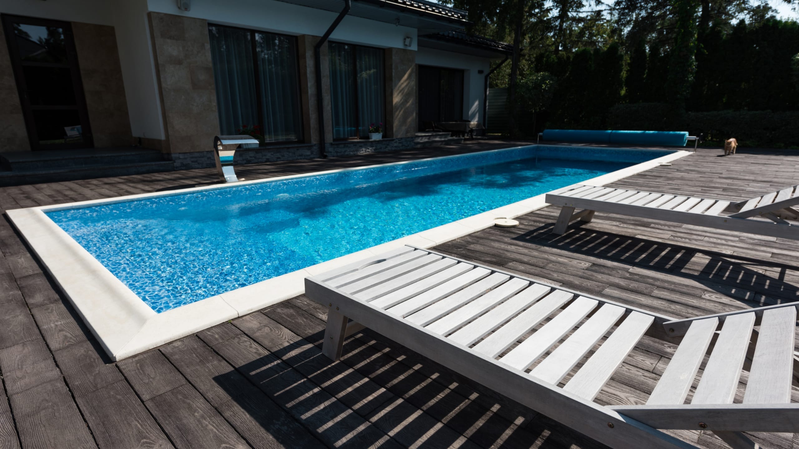 What is Needed to Create a Beautiful Pool Oasis in the Sunshine Coast