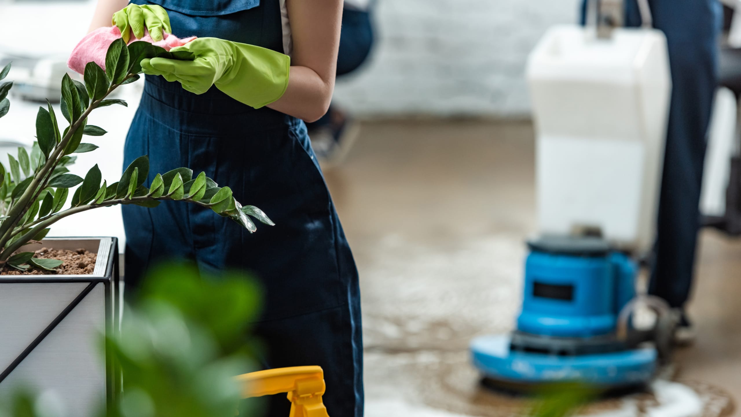 How to Enjoy a Stress-Free Work Day Thanks To Professional Cleaners In Sydney