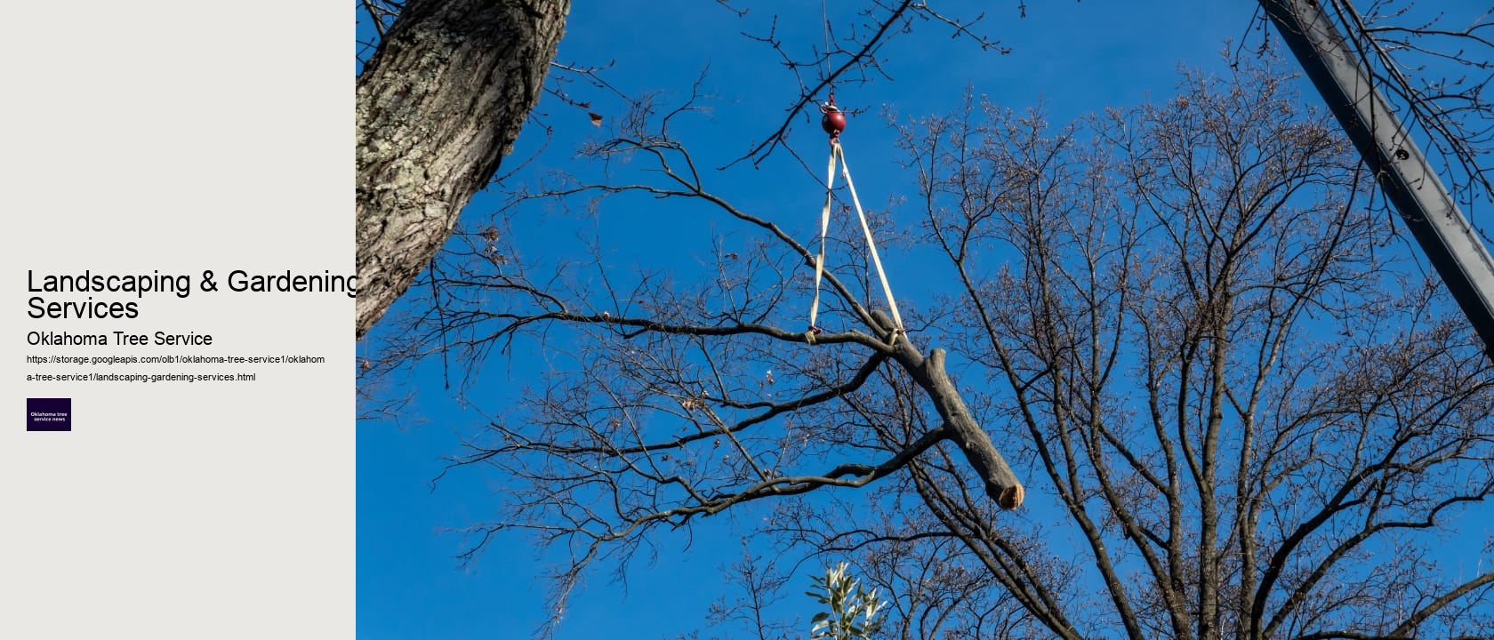 Landscaping & Gardening Services