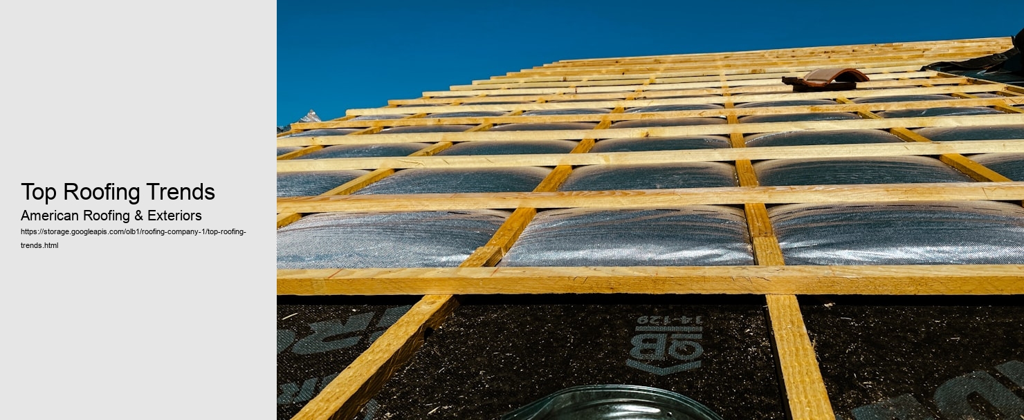 Top Roofing Trends