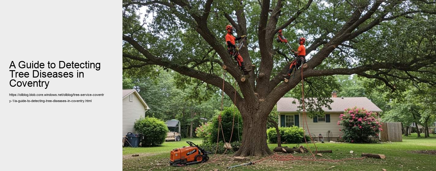 A Guide to Detecting Tree Diseases in Coventry