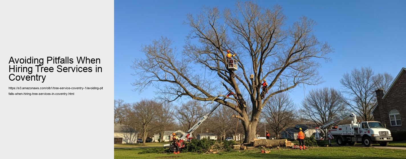 Avoiding Pitfalls When Hiring Tree Services in Coventry