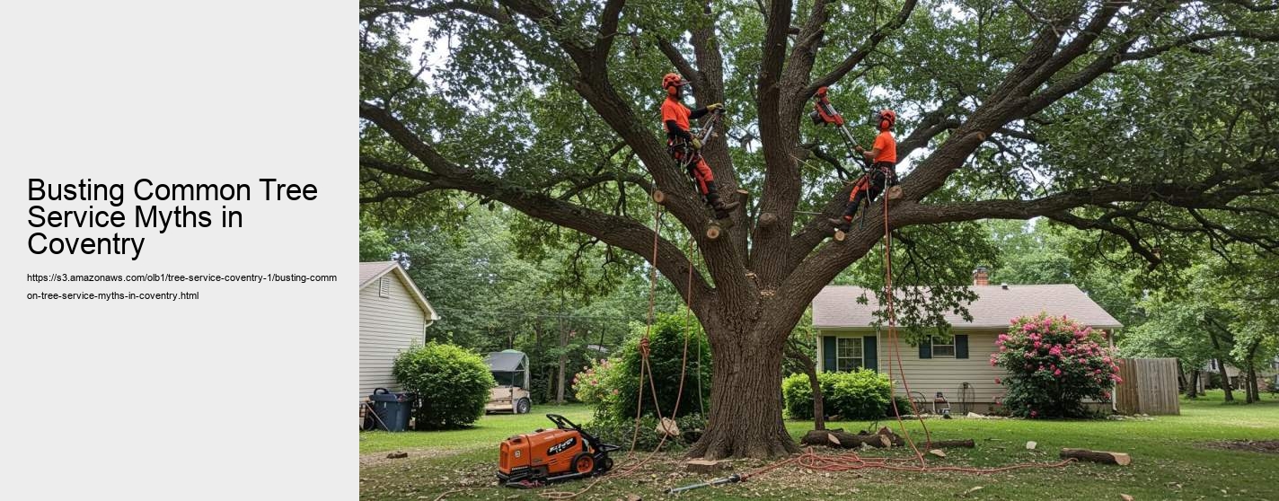 Busting Common Tree Service Myths in Coventry