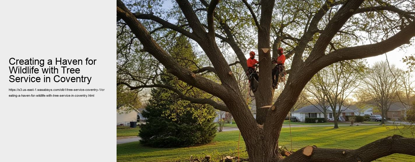 Creating a Haven for Wildlife with Tree Service in Coventry