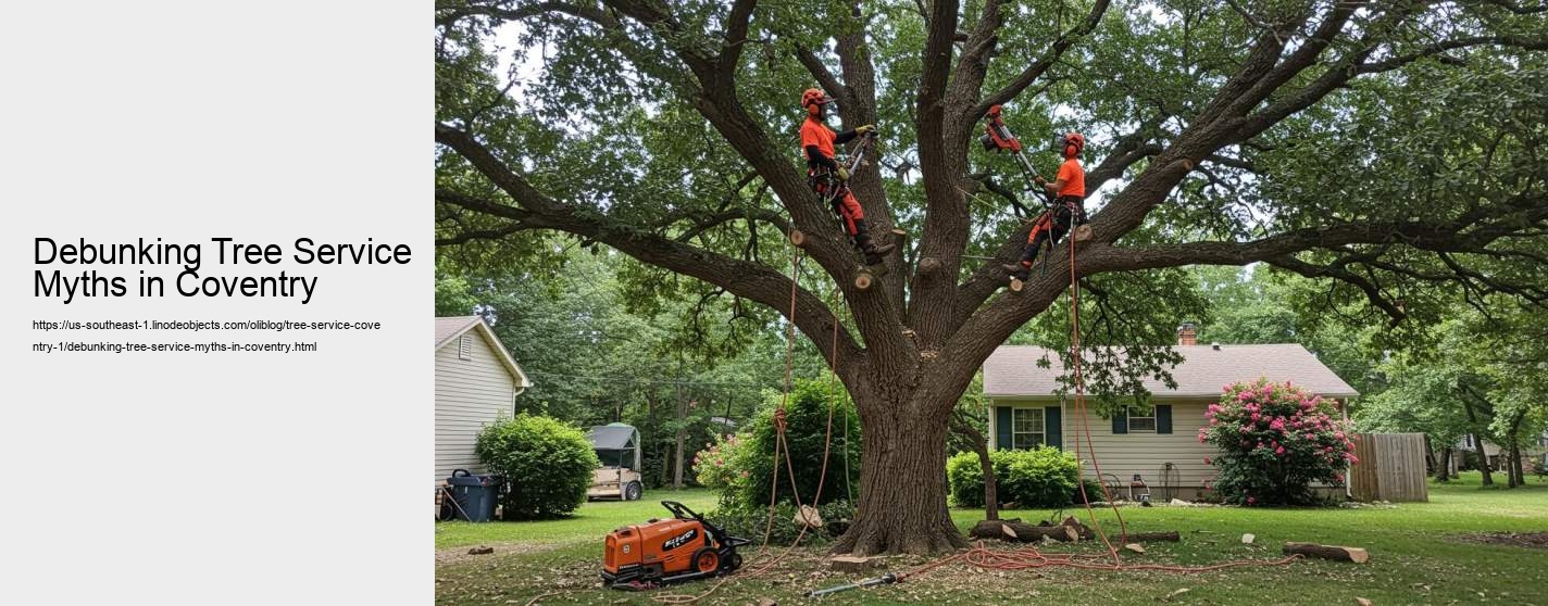 Debunking Tree Service Myths in Coventry