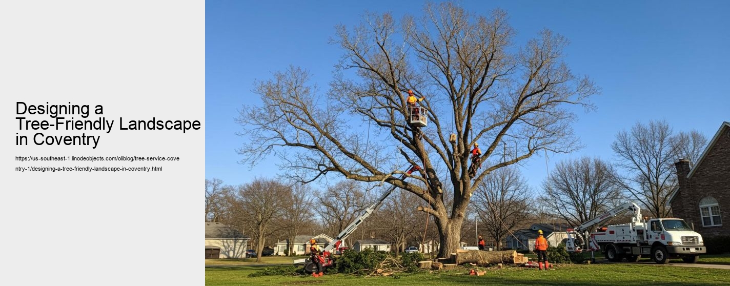 Designing a Tree-Friendly Landscape in Coventry