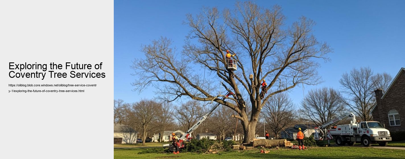 Exploring the Future of Coventry Tree Services