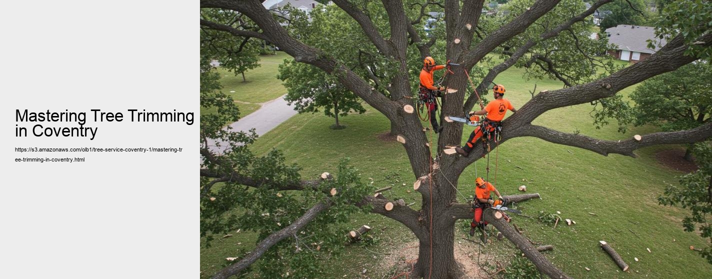 Mastering Tree Trimming in Coventry