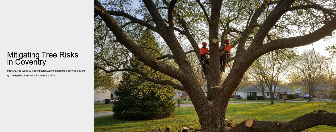 Mitigating Tree Risks in Coventry