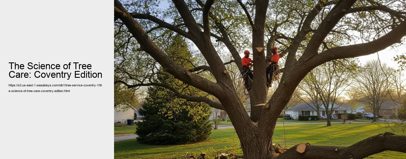 The Science of Tree Growth in Coventry