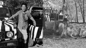 曼谷野生园饲养员遭狮袭身亡 - 图片2