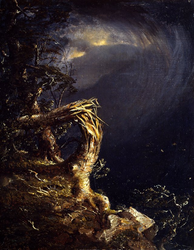 Blasted Tree by Jasper Francis Cropsey