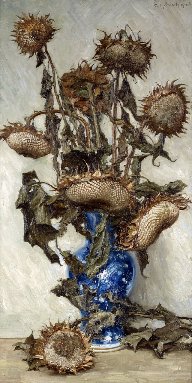 Helianthus by Alois Hänisch