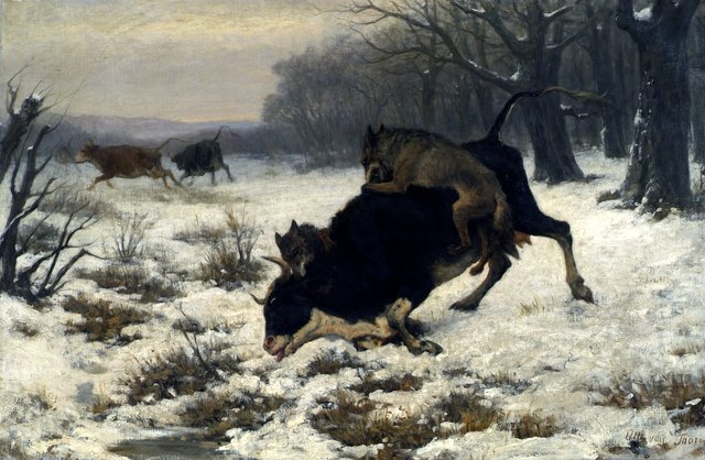 Eine Kuh wird von Wölfen angefallen by Otto von Thoren