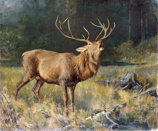 Rutting stag by Franz Xaver von Pausinger