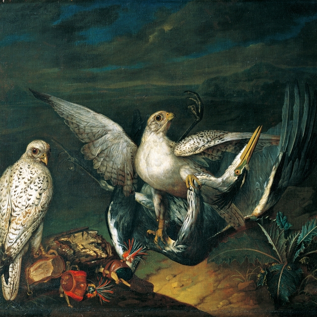 Bird piece, with four different vultures by Philipp Ferdinand de Hamilton