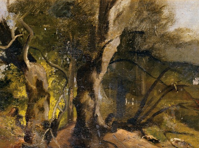 Waldstudie by Josef Navrátil