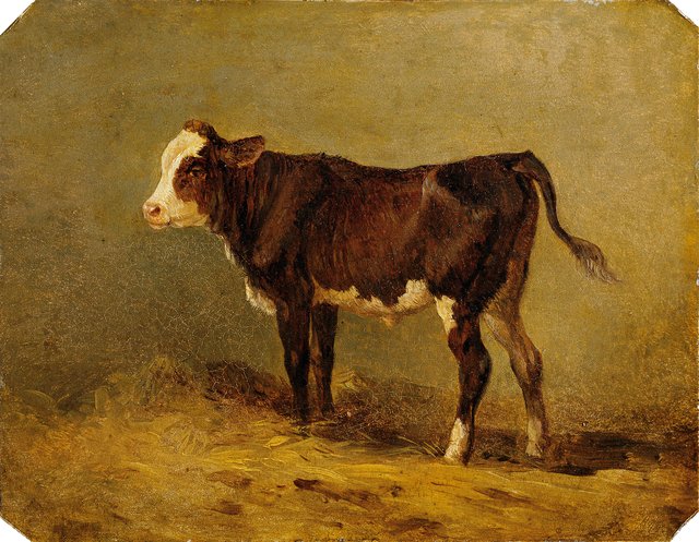 Kälbchen by Edmund Mahlknecht