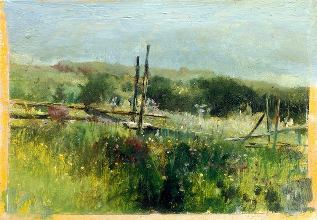 Wiese mit Zaun by Johann Till the Younger