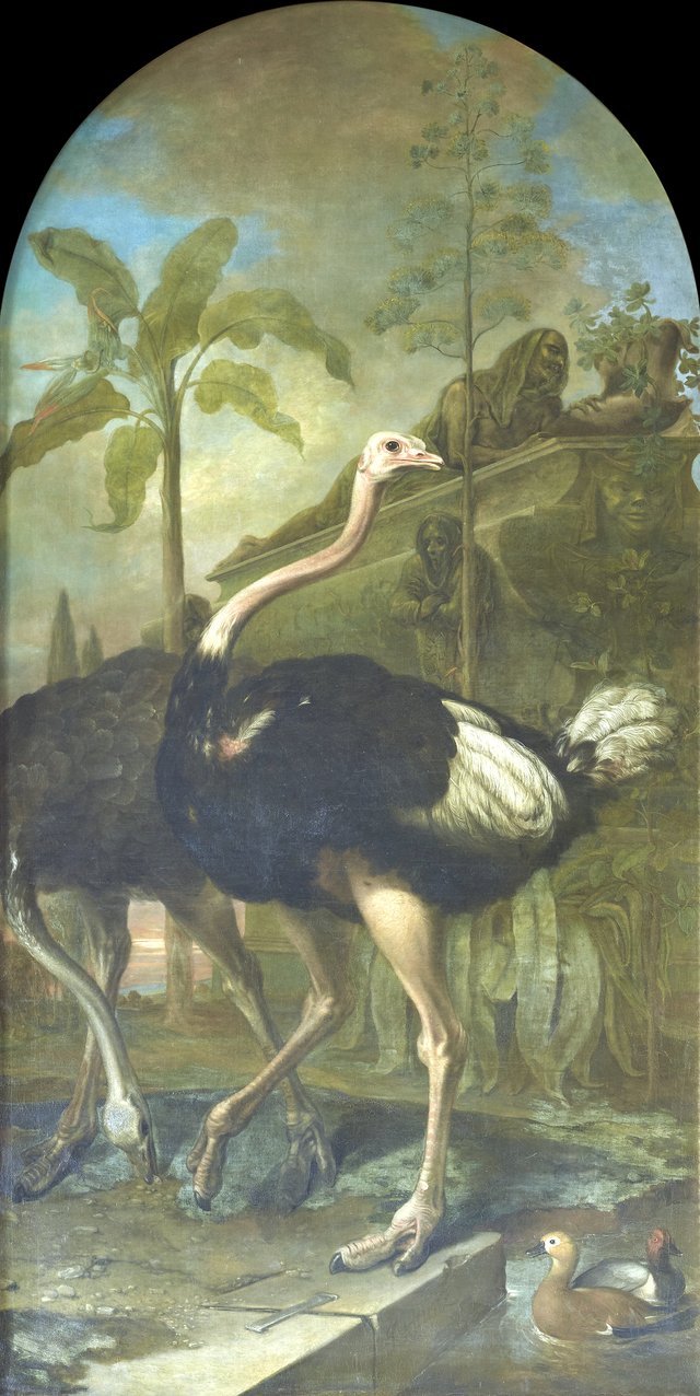 A Pair of Ostriches, a Sarcophagus in the Background by Ignaz Heinitz von Heinzenthal