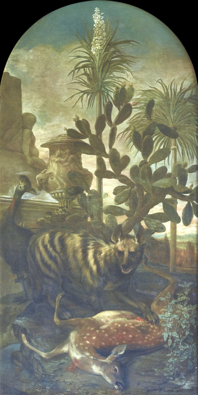 Hyena, Antelope and Cassowary in a Cactus Landscape by Ignaz Heinitz von Heinzenthal