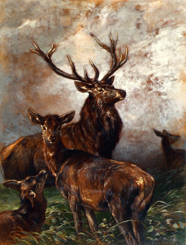 Hirsch und Hirschkühe by Franz Xaver von Pausinger