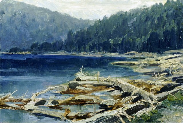 Böhmerwald (aus der Mappe „16 Ansichten tschechischer Landschaften 'Česka Krajiná'“) by Ferdinand František Engelmüller