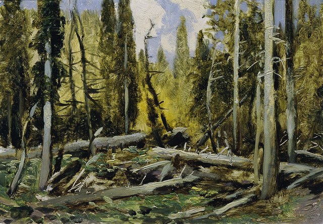 Böhmerwald (aus der Mappe „16 Ansichten tschechischer Landschaften 'Česka Krajiná'“) by Ferdinand František Engelmüller
