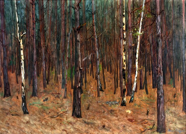 Waldinneres by Hans Tichy