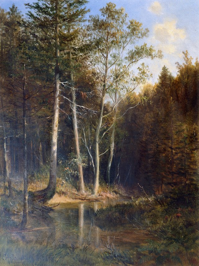 Forest Tour at Gerichtsberg near Kaumberg by Ludwig Halauska