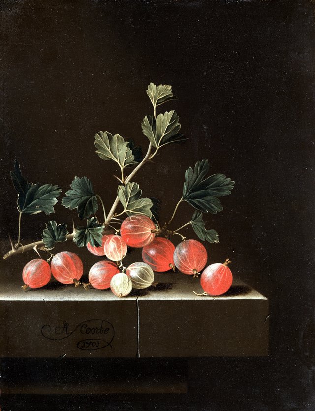 Gooseberries on a Table by Adriaen Coorte
