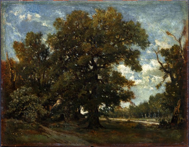 The Oak Tree by Théodore Rousseau