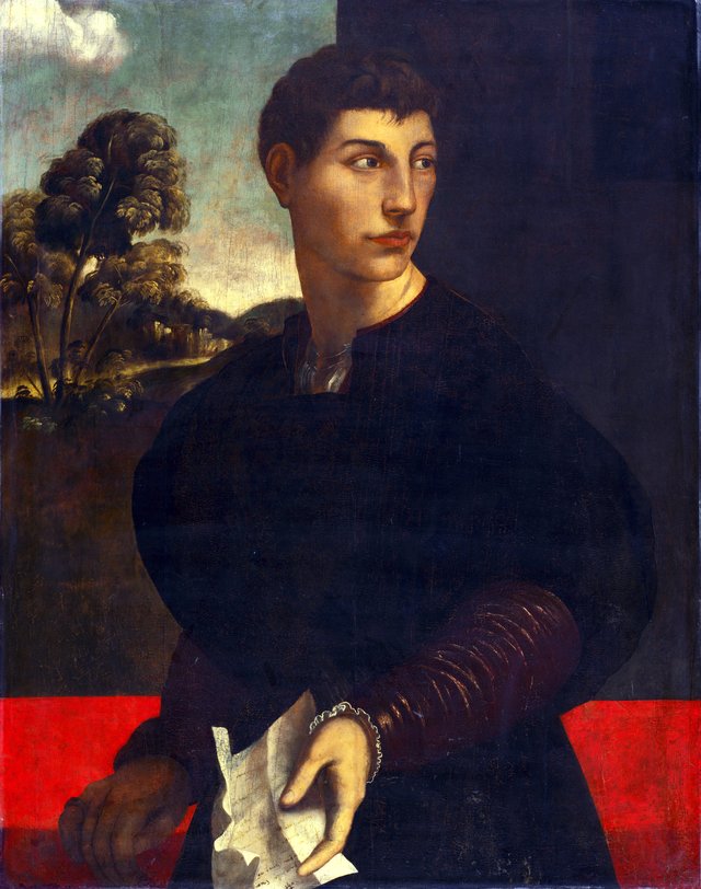 Portrait of a Young Man by Dosso Dossi