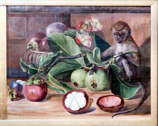 Flowers and Fruit of the Mangosteen, and a Singapore Monkey by Marianne North