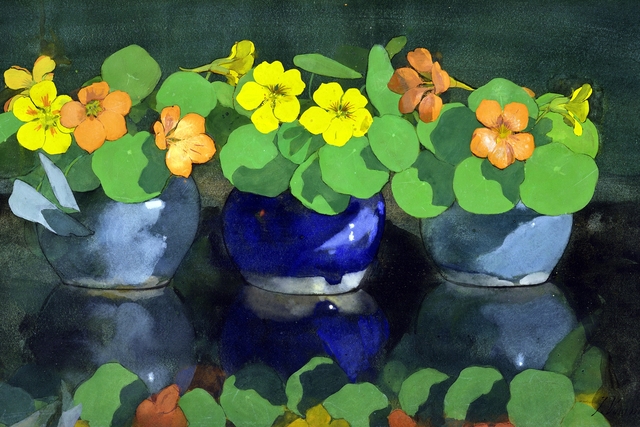 Nasturtiums by Jan Voerman