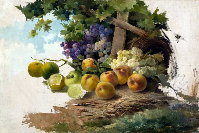 Estudio de frutas by Emilio Sala