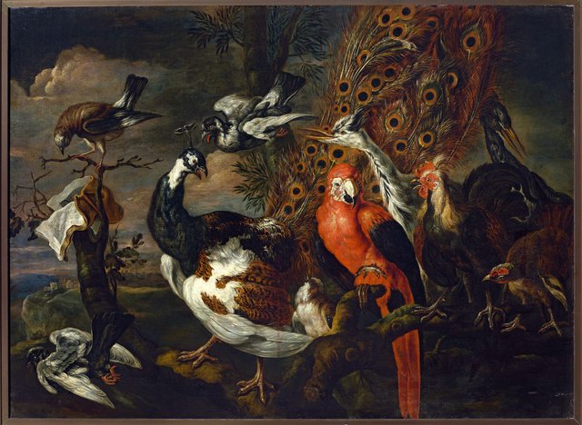Bird concert by Jan Fyt