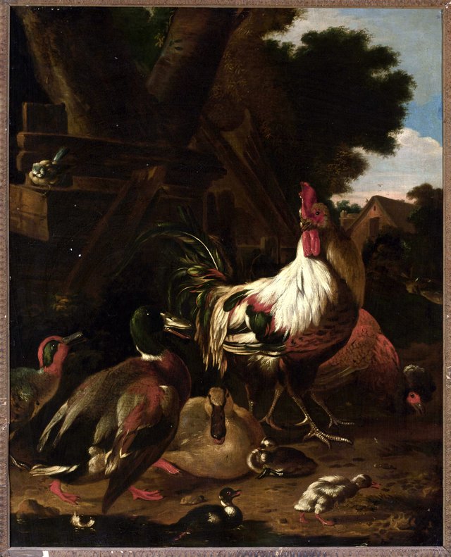 Rooster and ducks by Melchior d'Hondecoeter