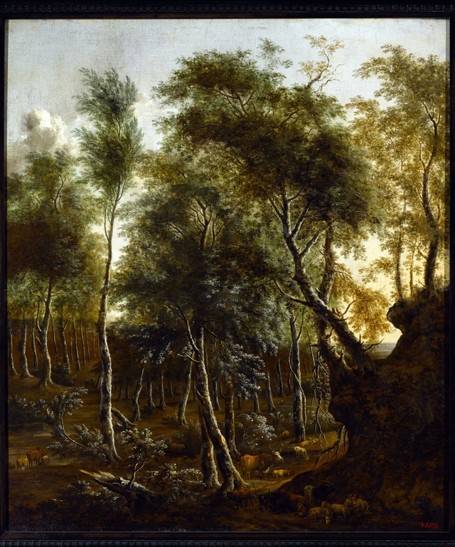 Forest landscape by Frederik de Moucheron