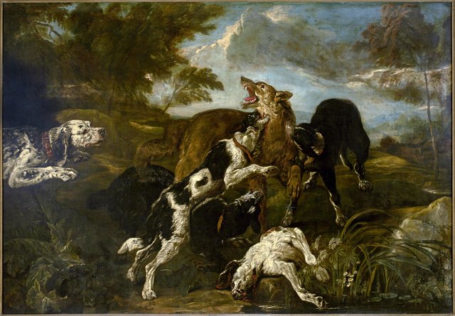 Dogs fighting a wolf by Jan Fyt