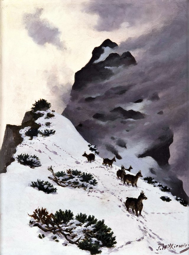 Chamois in the mountains by Stanisław Witkiewicz