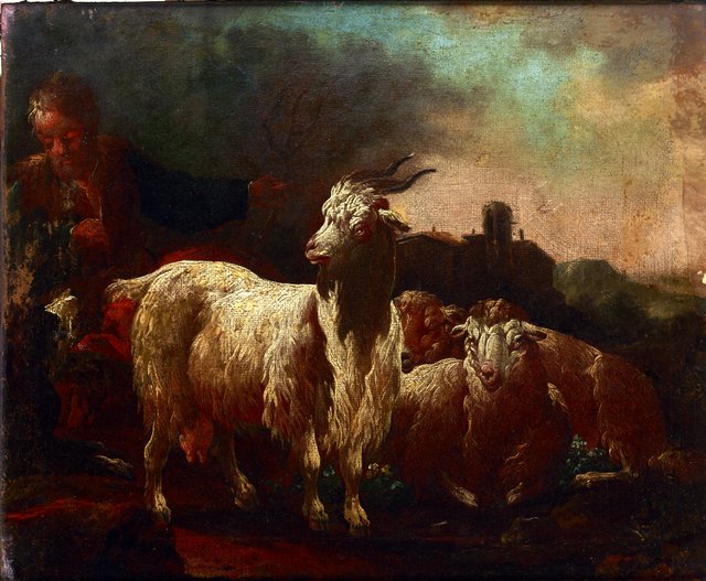 Goats and Sheep by Philipp Peter Roos