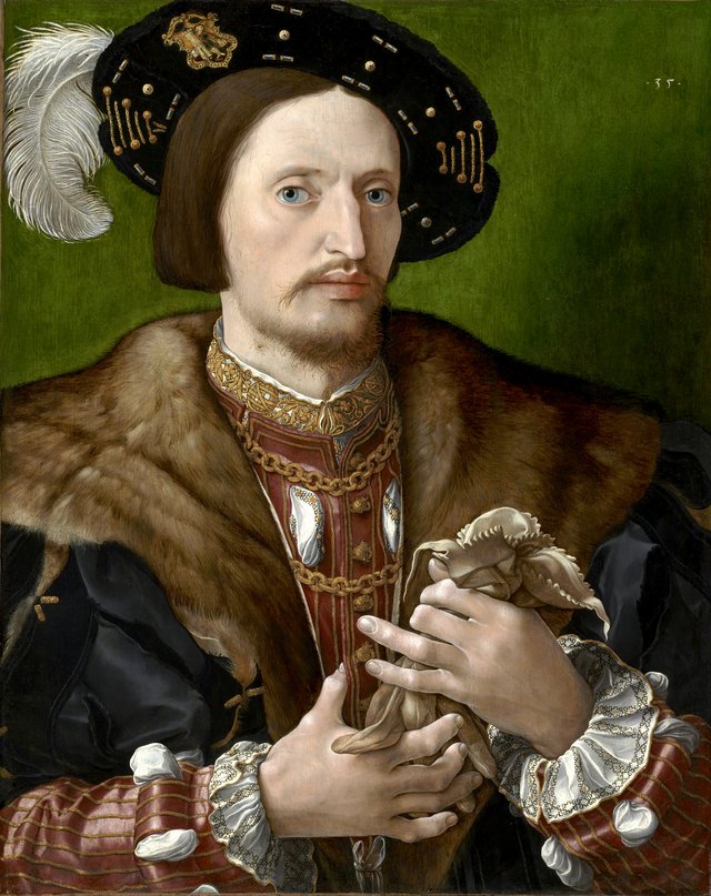 Portrait of a Gentleman holding Gloves by Jan Cornelisz Vermeyen