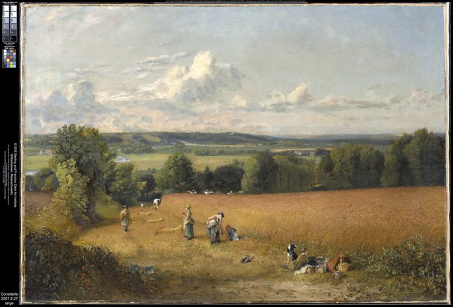 The Wheat Field by John Constable