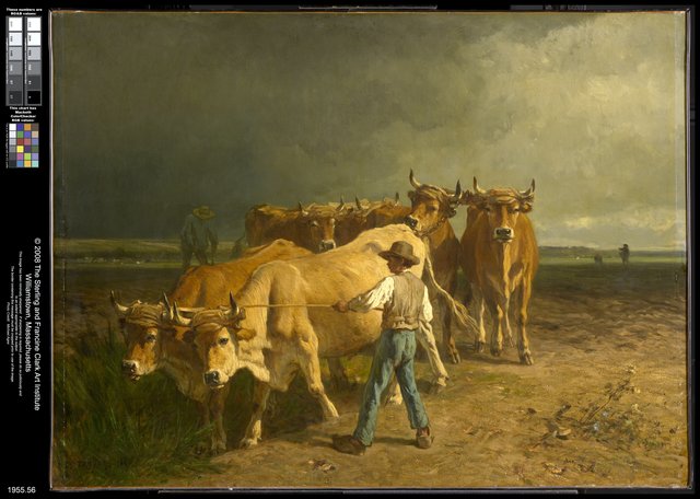 Oxen Plowing by Constant Troyon