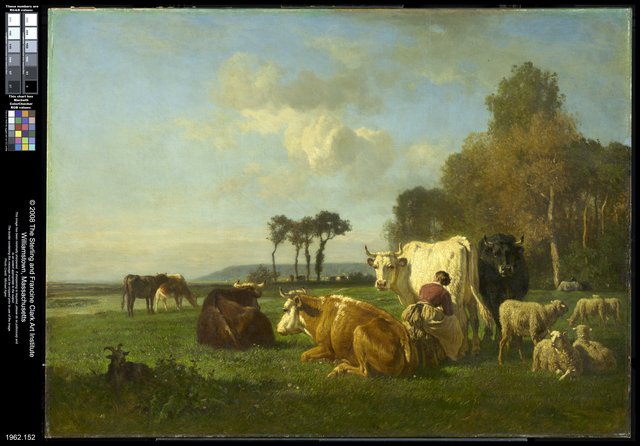Cattle and Sheep in a Landscape by Constant Troyon